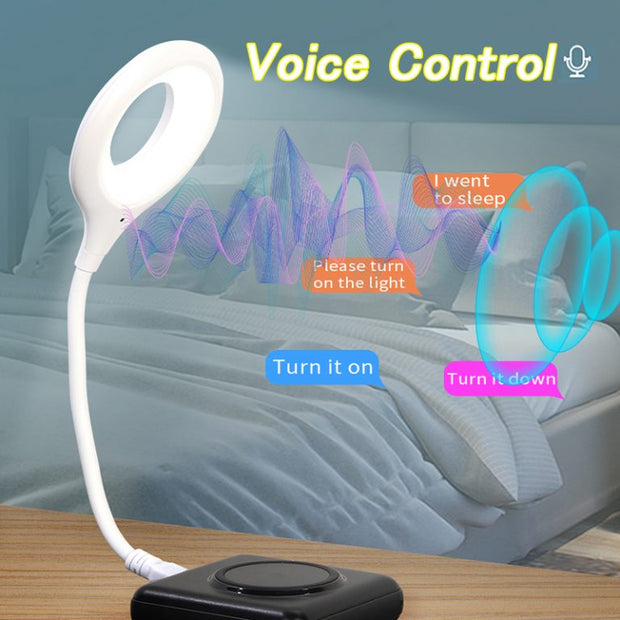Smart intelligent Voice Light Control USB Night Light for Bedroom Product Code: 7